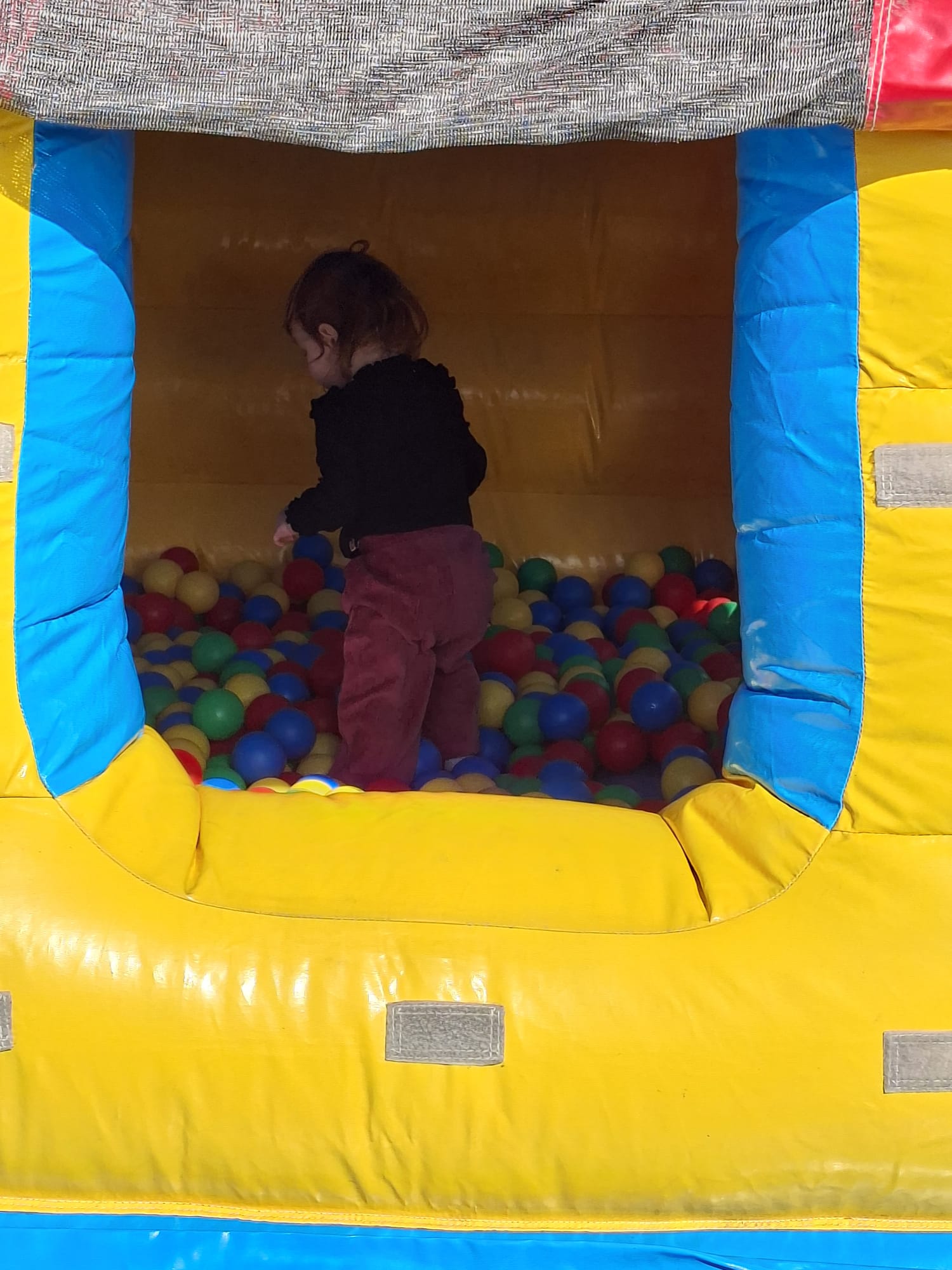 circsu met ballen